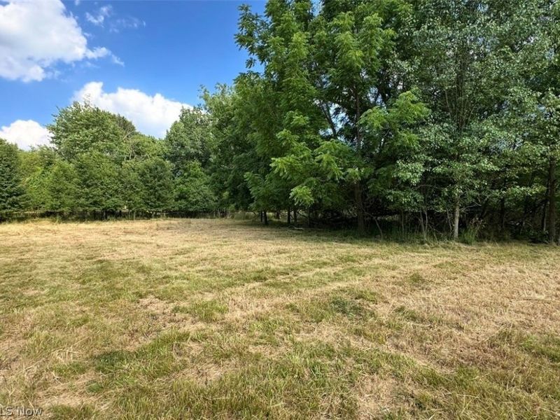 5218 Birkdale Street NW, Canton, OH 44708 Photo 8