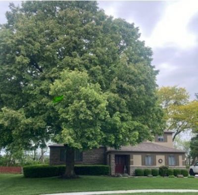 1791 Hickory Hill Drive, Columbus, OH 43228 Main Photo