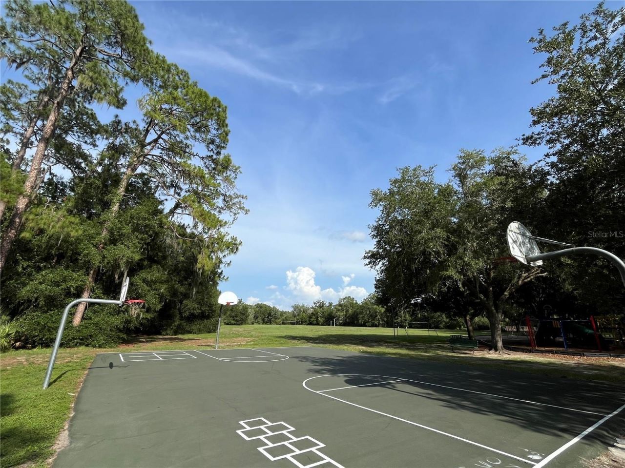 4038 Lithia Ridge Boulevard , Valrico, FL 33596 Photo