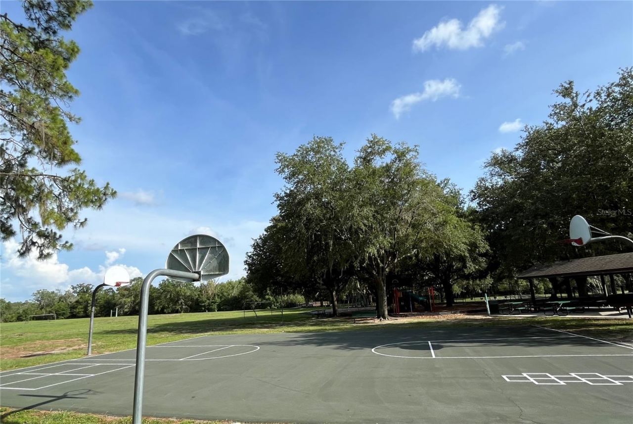 4038 Lithia Ridge Boulevard , Valrico, FL 33596 Photo