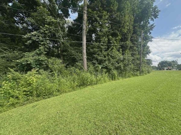 0 Dabney Ln, Rogersville, AL 35652