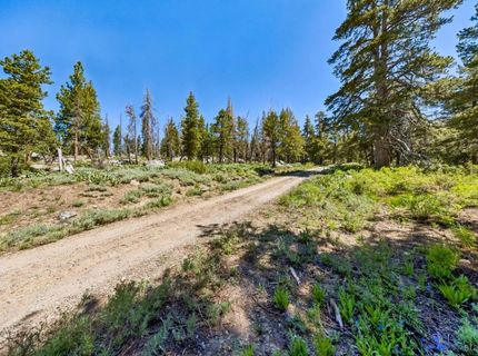 4 Caples Lake Tract, Unit 4, Kirkwood, CA 95646 Photo