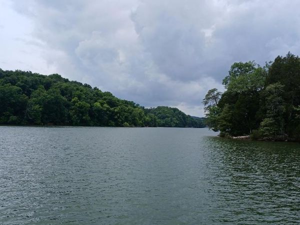 927 Windridge Rd, Friendsville, TN 37737