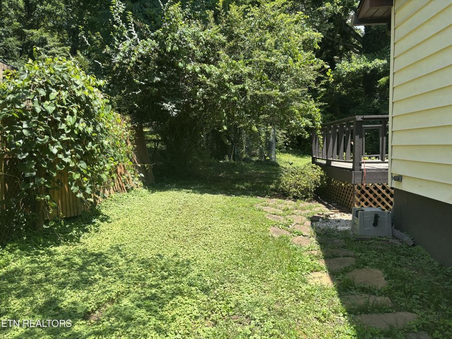 Property Image 53