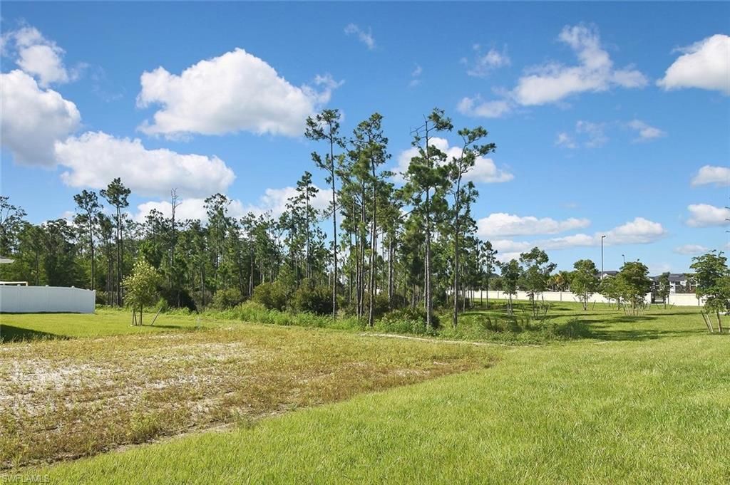 8107 Haley Creek Way, Lehigh Acres, FL 33971 Photo