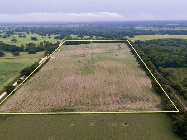 000 SE 200 AVENUE SE, MORRISTON, FL 32668