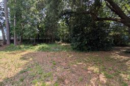 1113 Melvin Drive photo 4