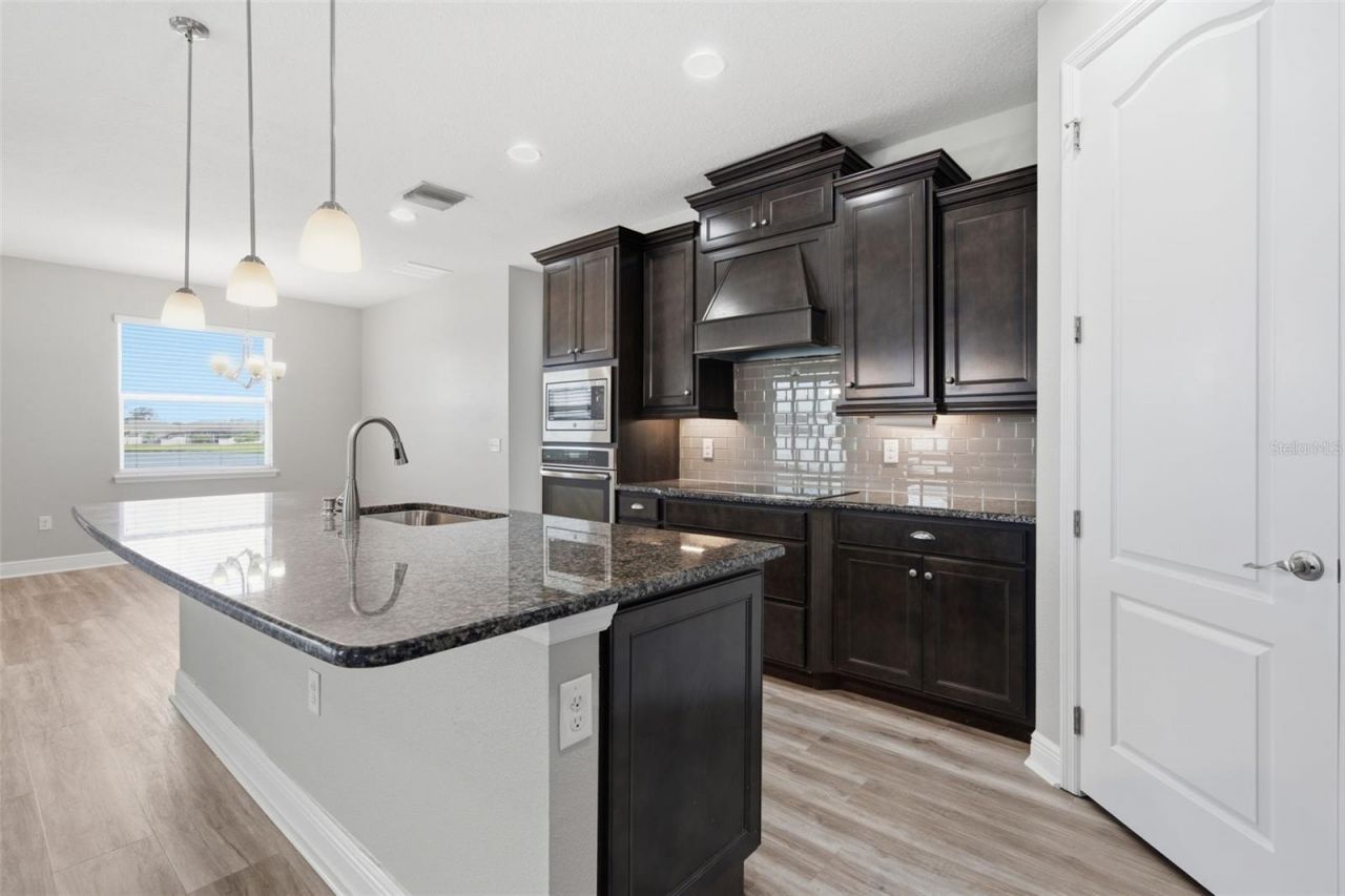 15020 Trinity Fall Way , Bradenton, FL 34212 Photo