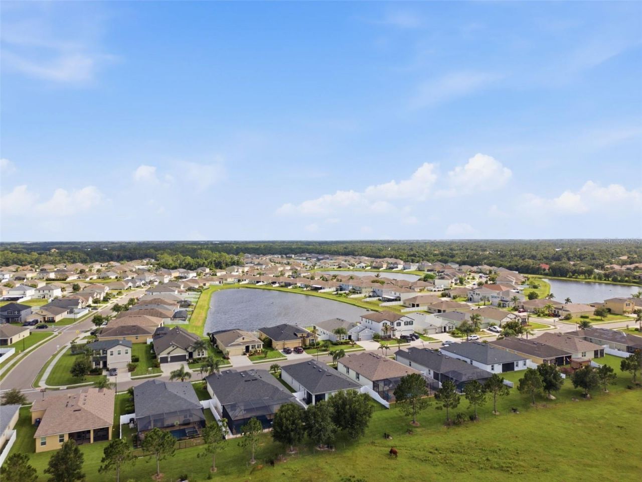 15020 Trinity Fall Way , Bradenton, FL 34212 Photo
