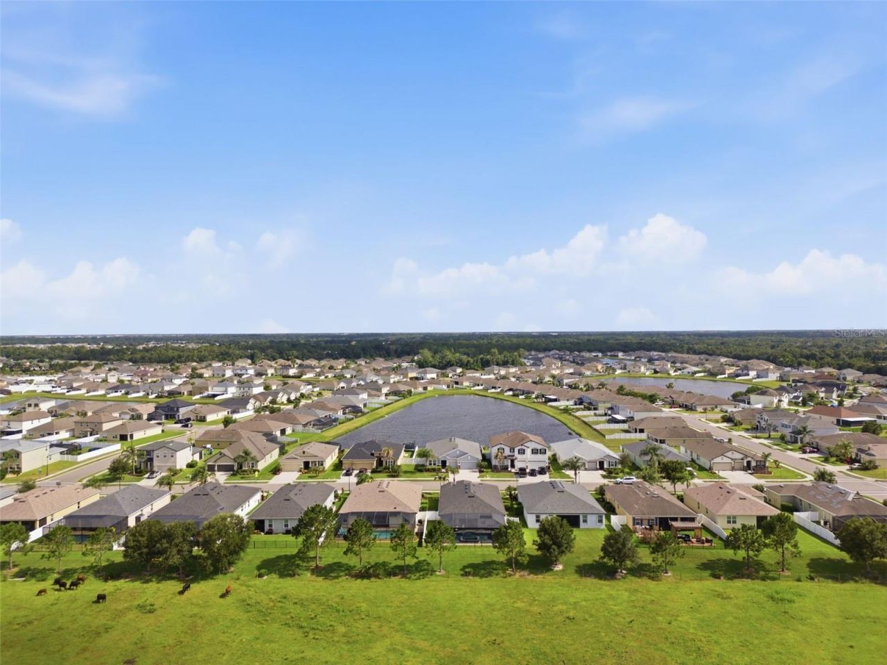 15020 Trinity Fall Way , Bradenton, FL 34212 Photo