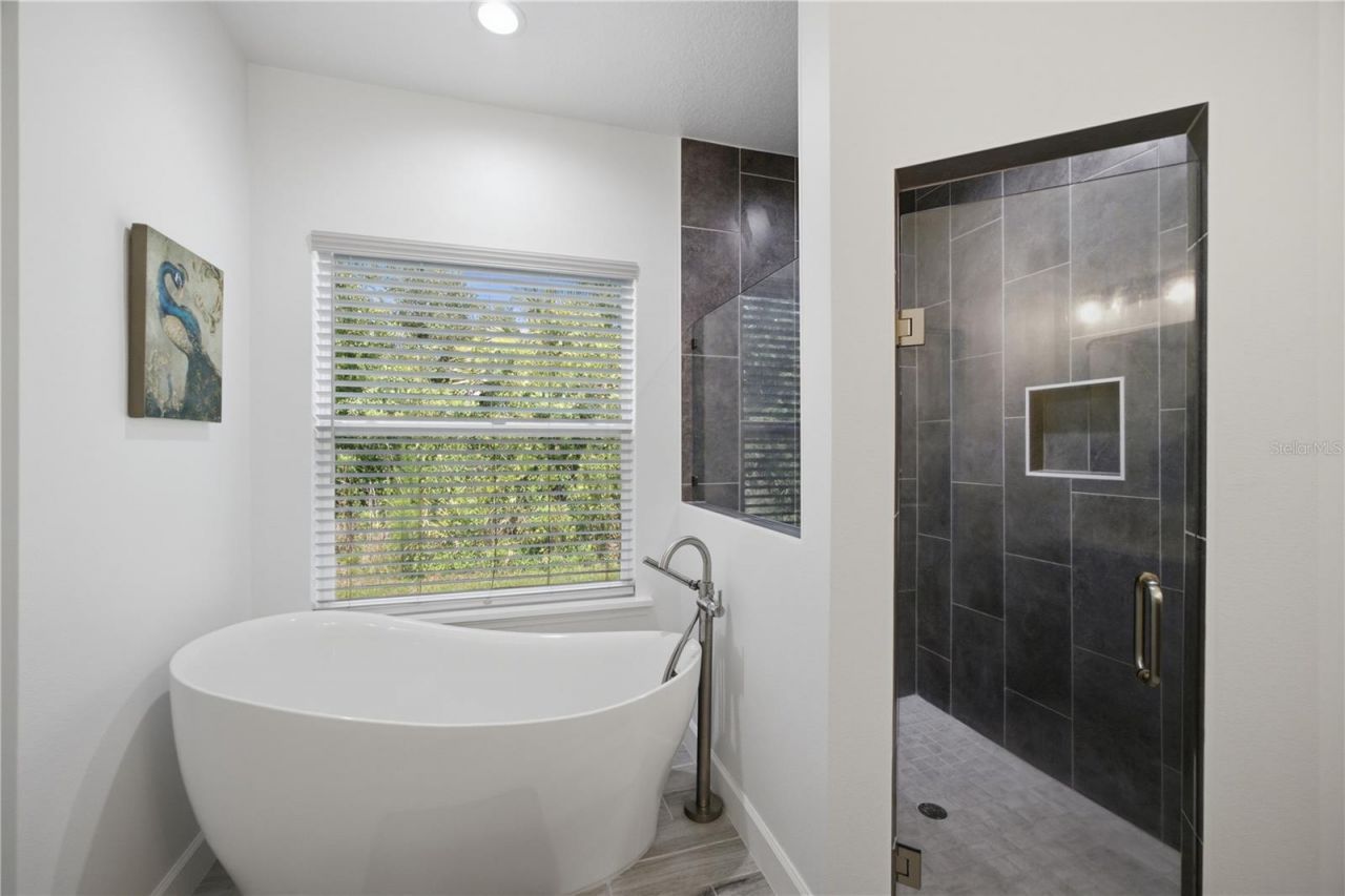 26644 Easy Street, Wesley Chapel, FL 33544 Photo