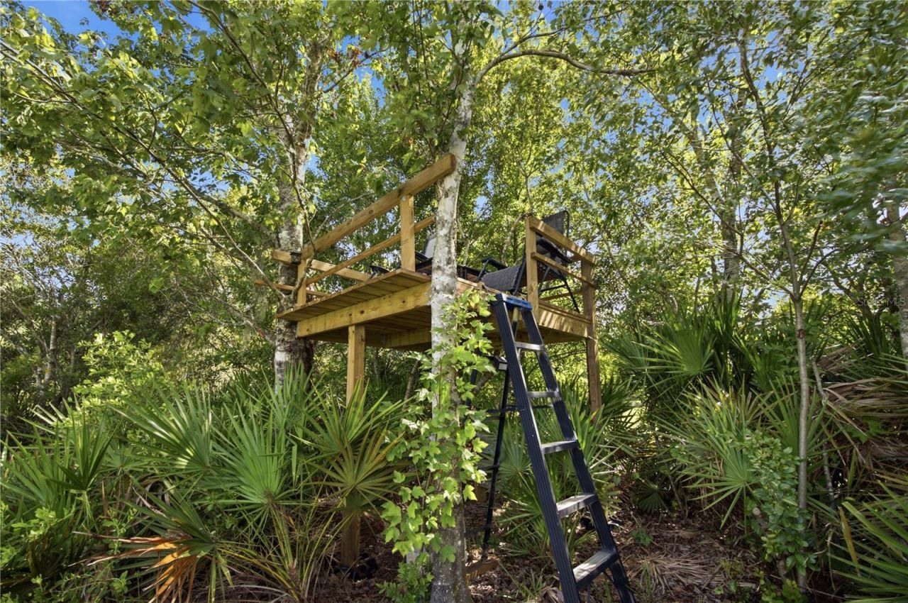 26644 Easy Street, Wesley Chapel, FL 33544 Photo