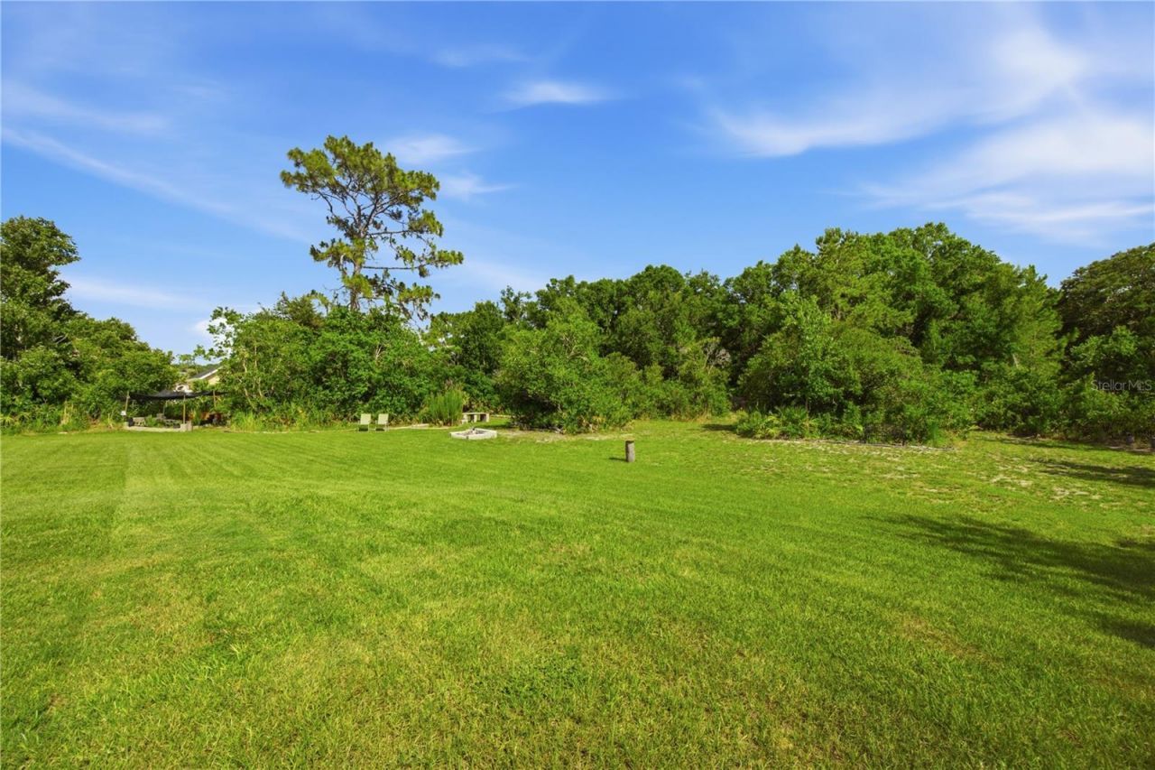 26644 Easy Street, Wesley Chapel, FL 33544 Photo