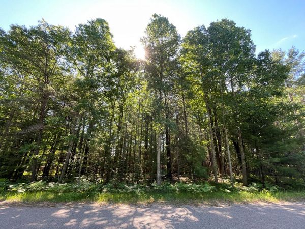 346-347 Reindeer Drive, Prudenville, MI 48651