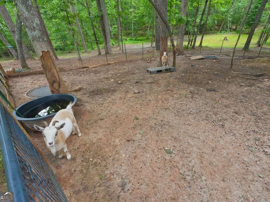 Property Image 54
