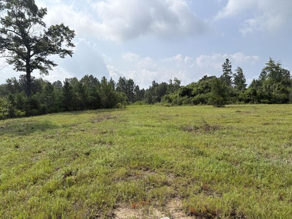 00 E Dexter Centerville, Tylertown, MS 39667