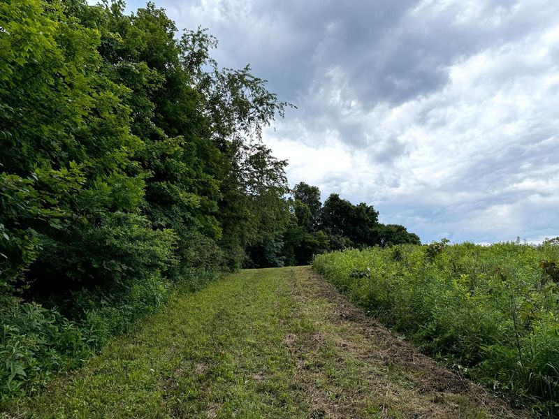 0 Cutlip St , Unit (Tract 9 a, Jackson, OH 45640 Photo 13