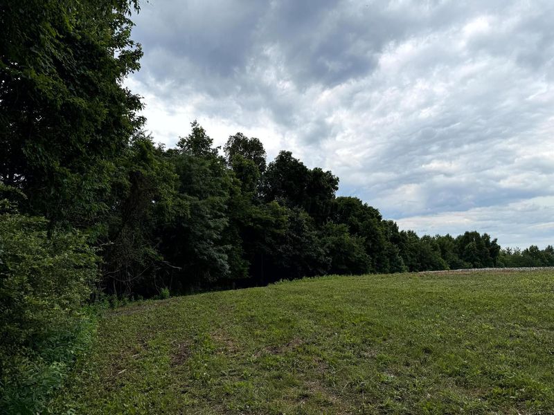 0 Cutlip St , Unit (Tract 9 a, Jackson, OH 45640 Photo 14