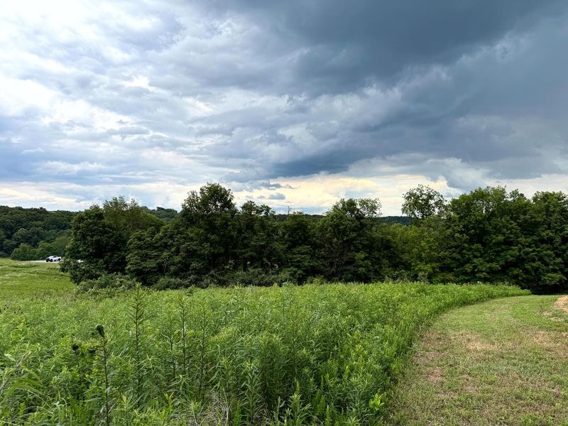 0 Cutlip St , Unit (Tract 9 a, Jackson, OH 45640 Photo 15