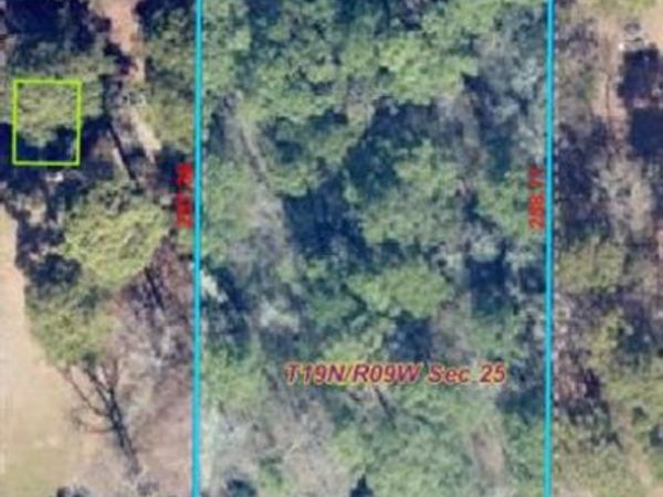 F-1 Normandie Lane , Minden, LA 71055