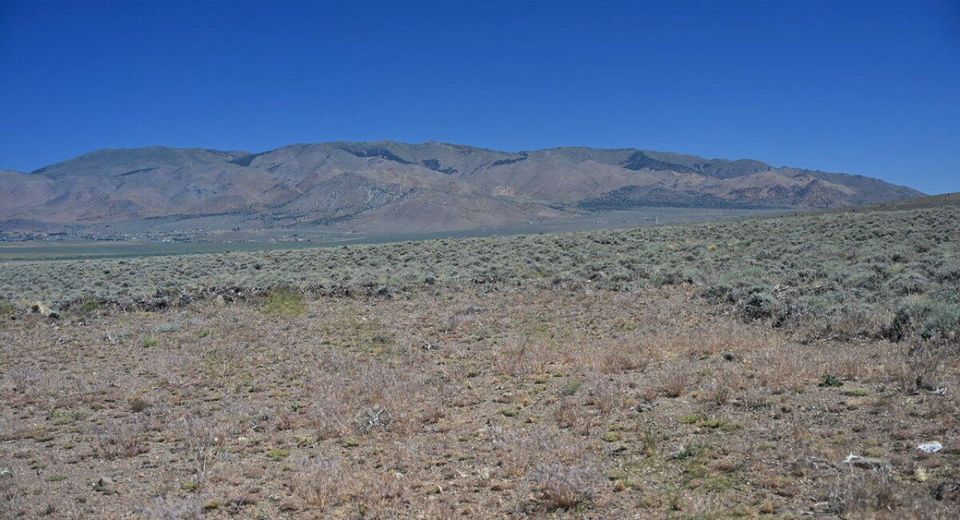 005 Eastside Lane, Gardnerville, NV 89410 Photo