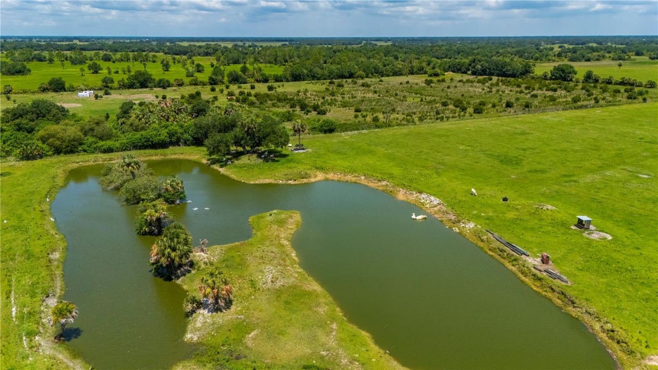 12241 SW Gordon Hay Road , Arcadia, FL 34269 Photo