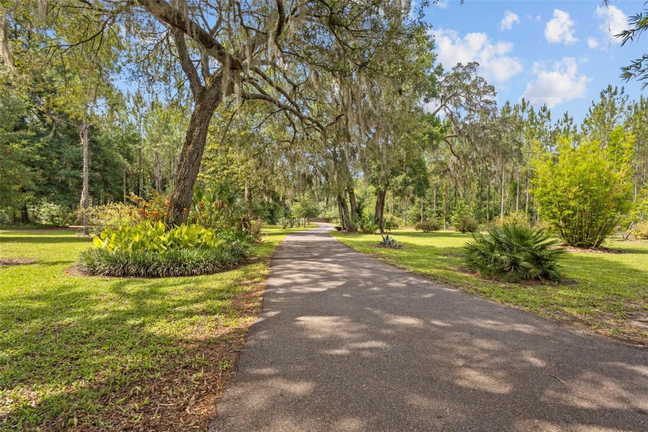 8851 NW 115th Street, Chiefland, FL 32626 Photo