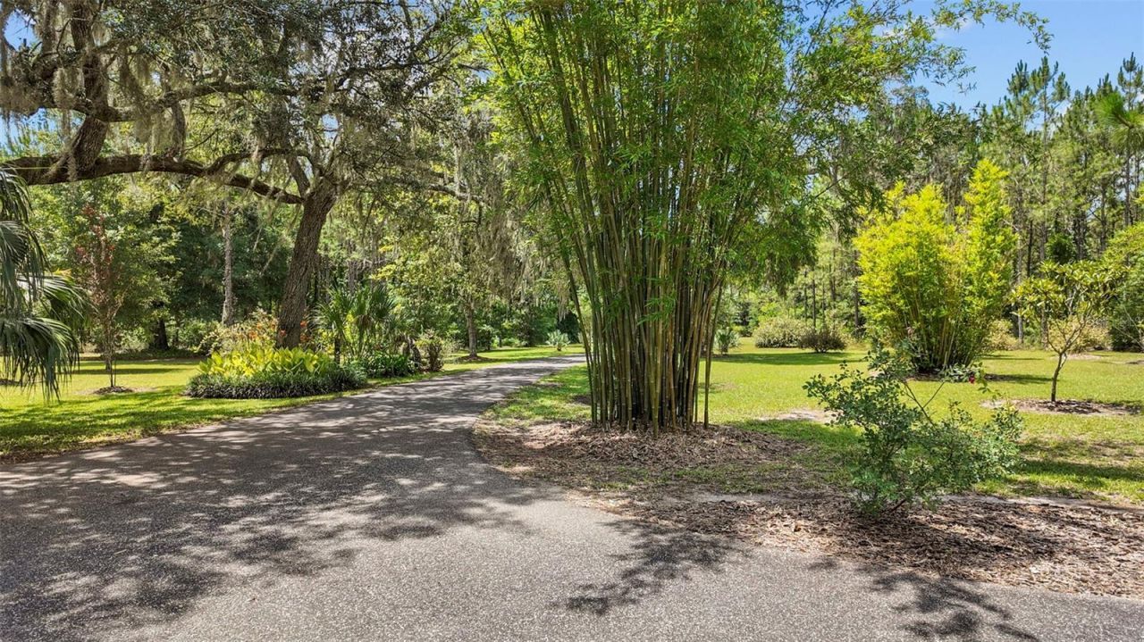 8851 NW 115th Street, Chiefland, FL 32626 Photo
