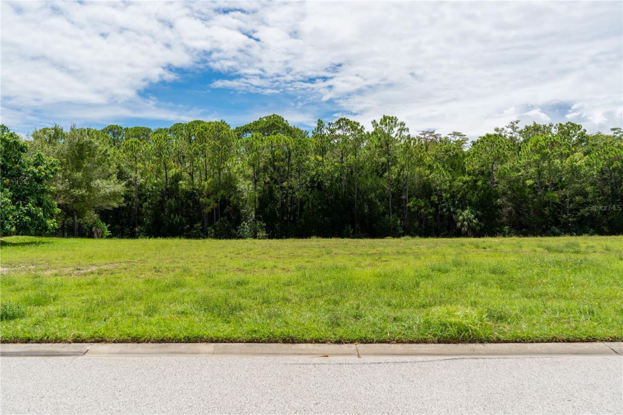 4050 Jewfish Drive , Hudson, FL 34667 Photo