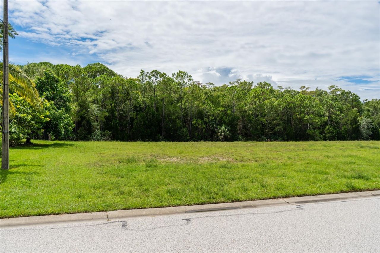 4050 Jewfish Drive , Hudson, FL 34667 Photo