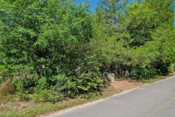 119 Sandpit Drive photo 4