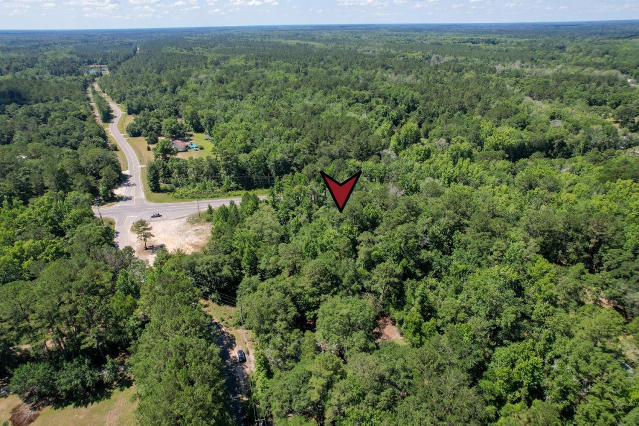 5074 S Highway 17a Photo 13