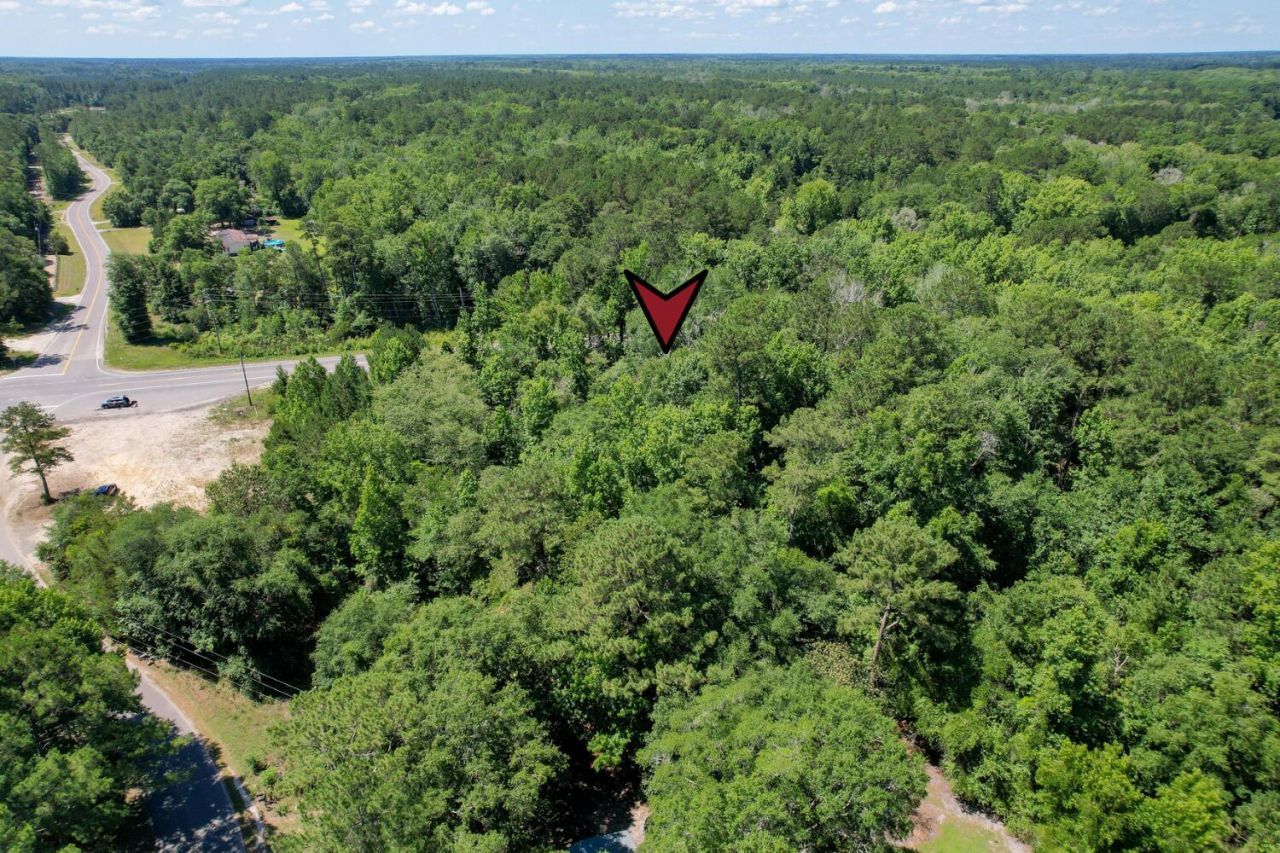5074 S Highway 17a Photo 15
