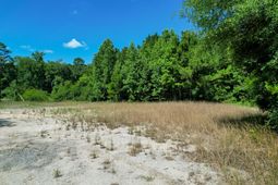 5074 S Highway 17a photo 4