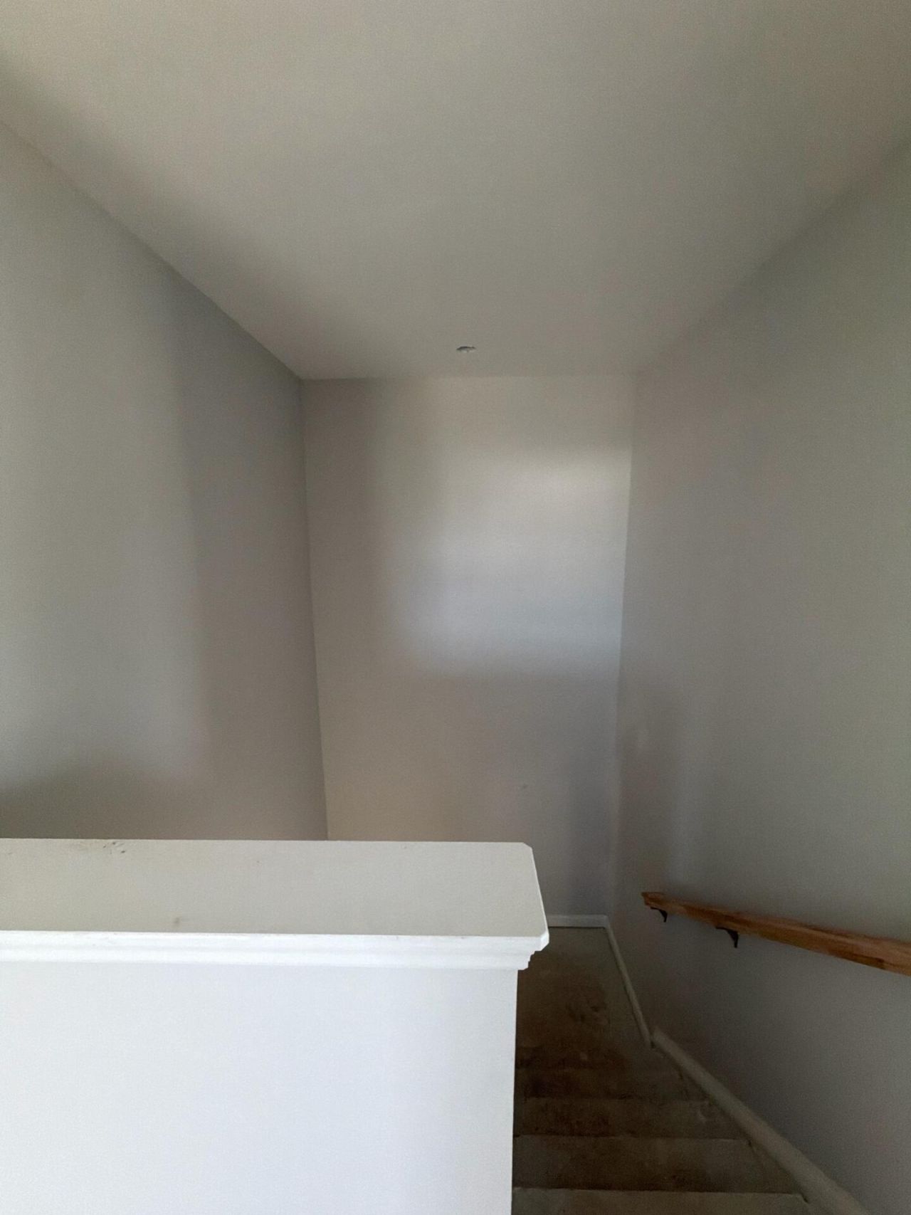407 Painted Lady Lane Photo 19
