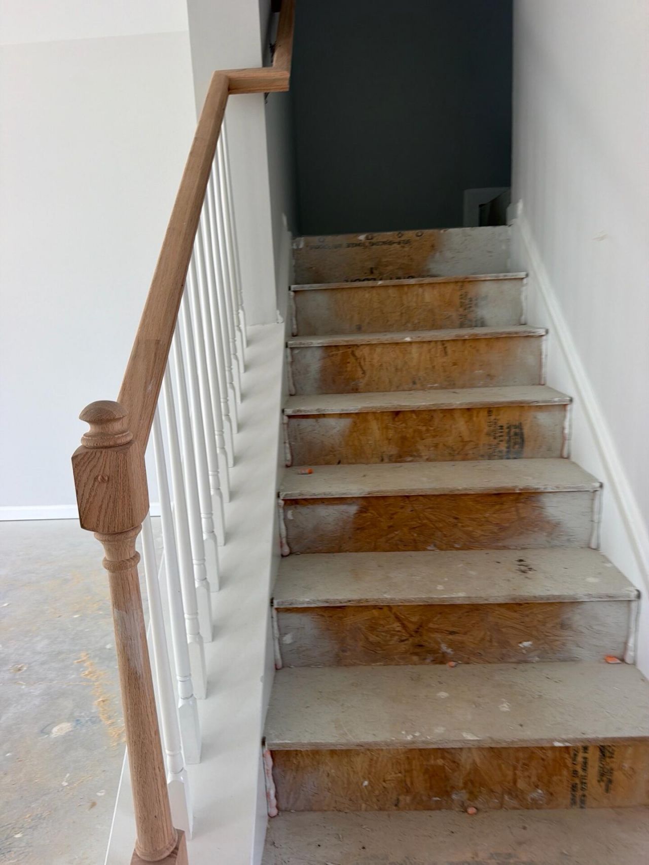 407 Painted Lady Lane Photo 20