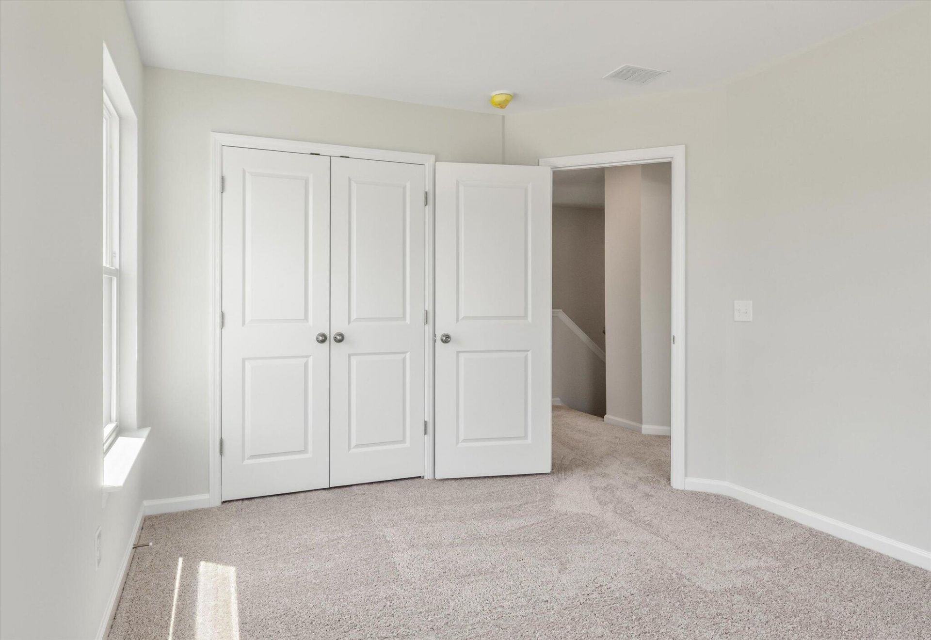 407 Painted Lady Lane Photo 31