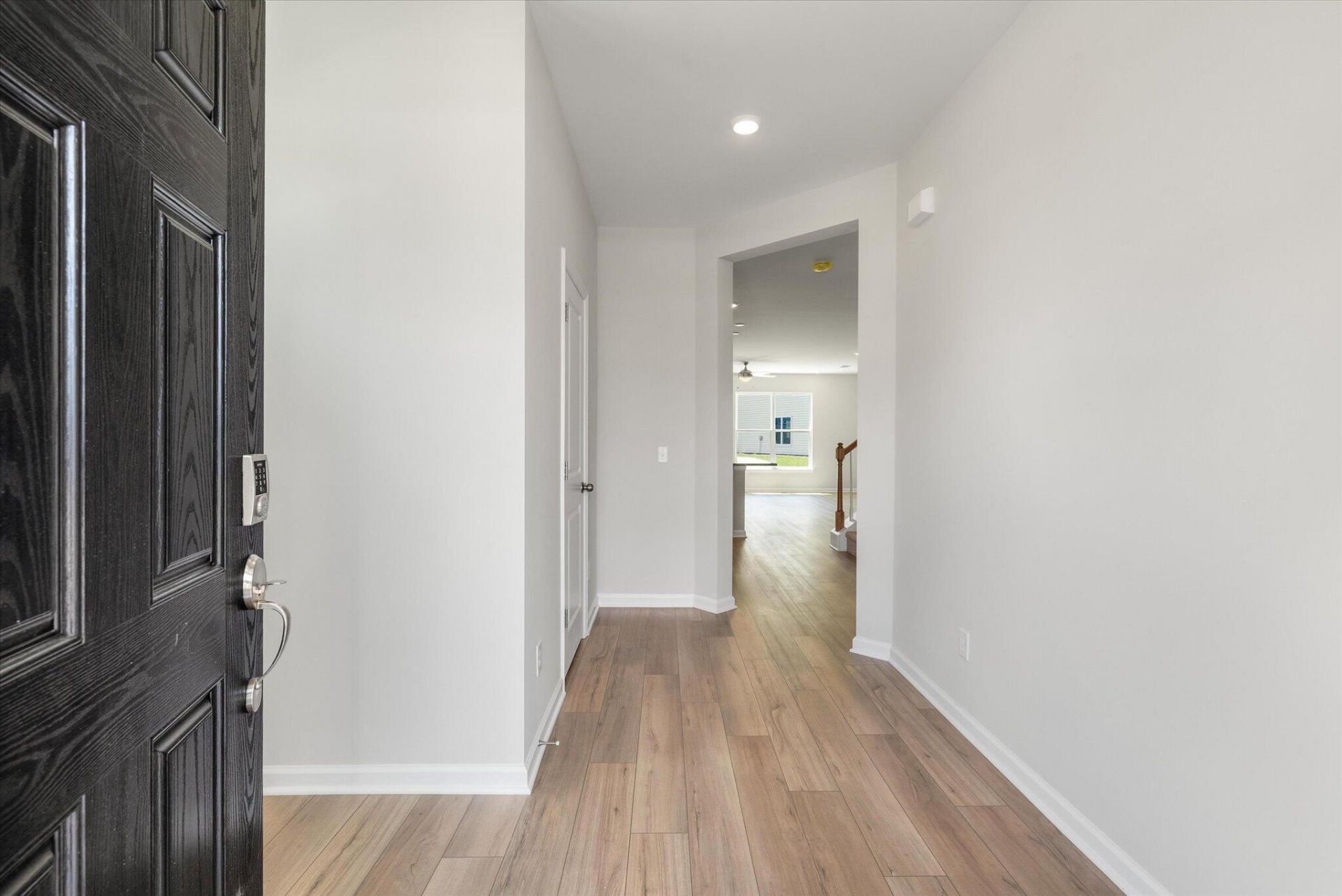 407 Painted Lady Lane Photo 5