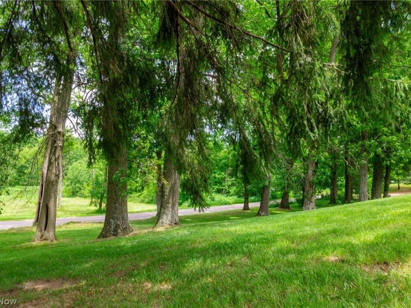 8090 County Road 318, Shreve, OH 44676 Photo 40