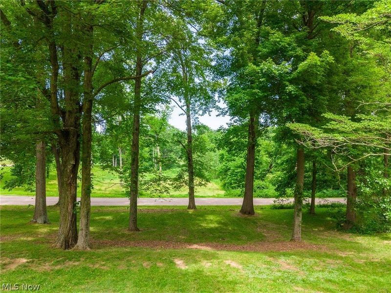 8090 County Road 318, Shreve, OH 44676 Photo 48