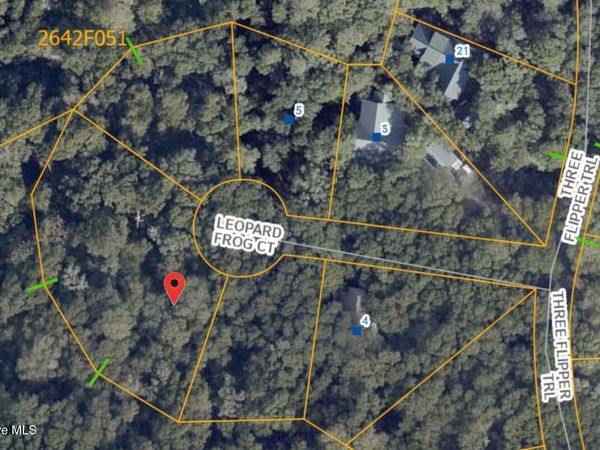 8 Leopard Frog Court , Bald Head Island, NC 28461