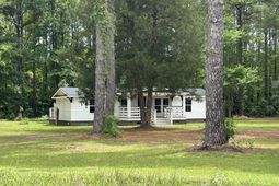 1033 Dawson Street photo 4