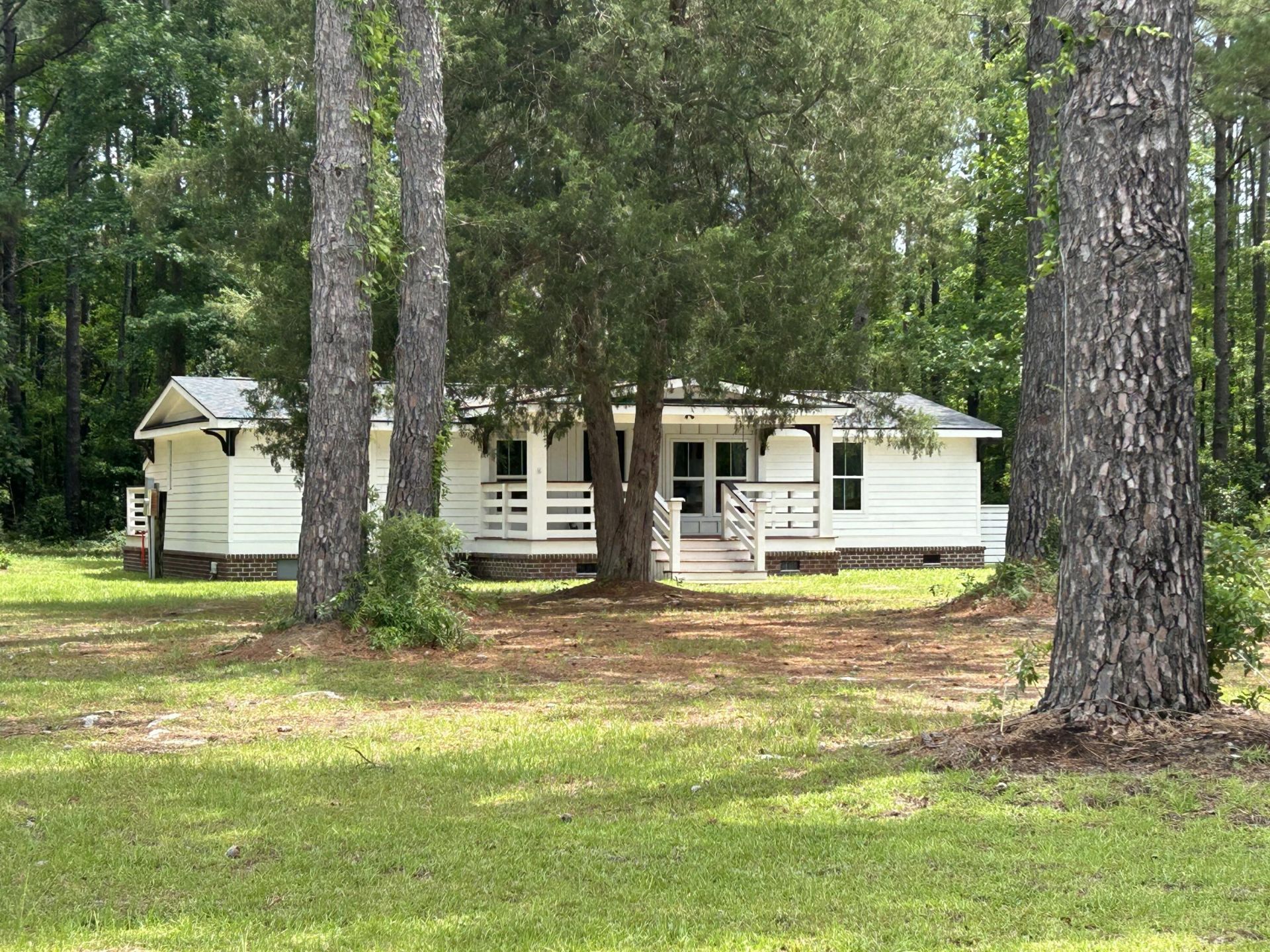 1033 Dawson Street Photo 4