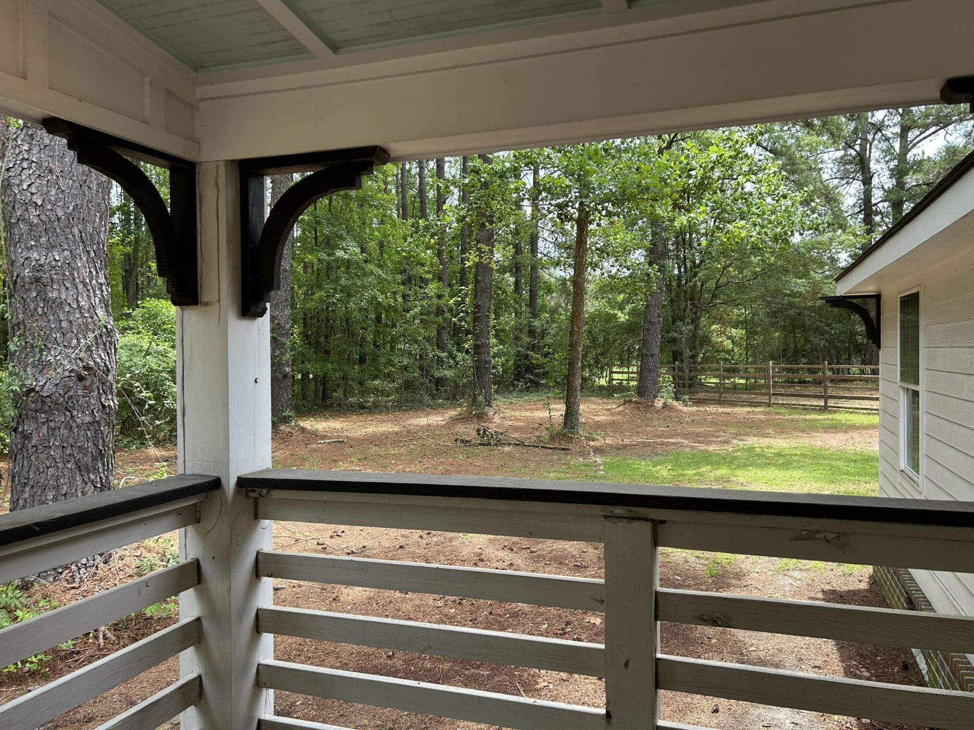 1033 Dawson Street Photo 41