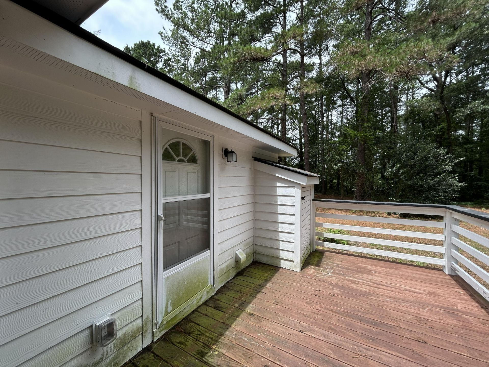 1033 Dawson Street Photo 42