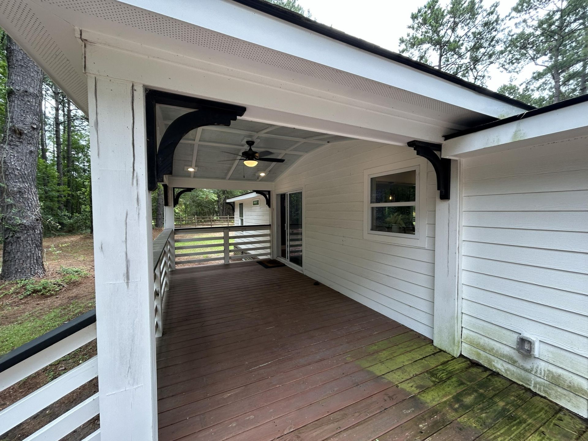 1033 Dawson Street Photo 43