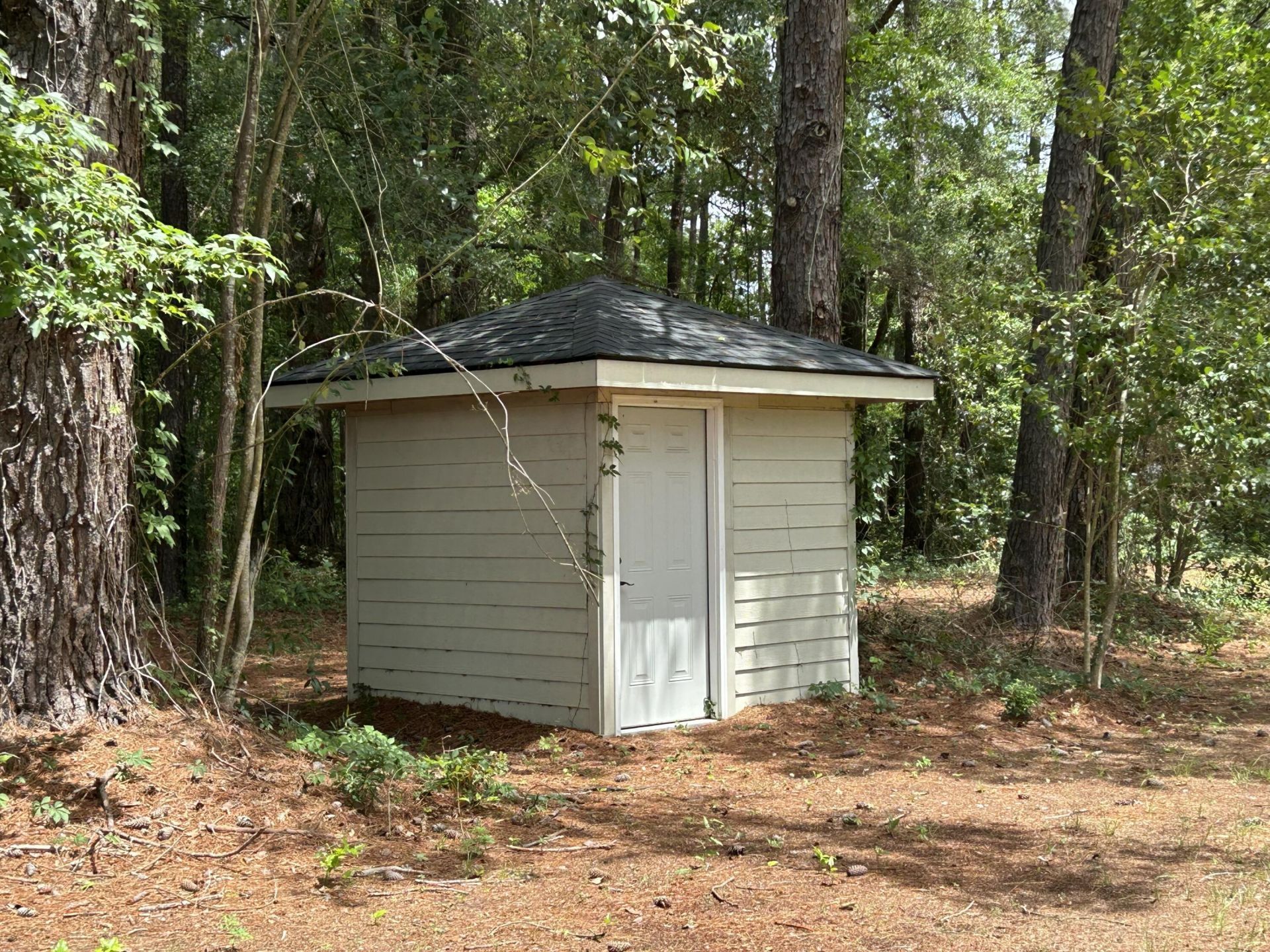 1033 Dawson Street Photo 46