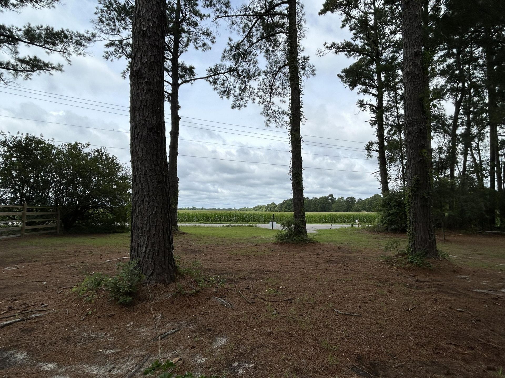 1033 Dawson Street Photo 47
