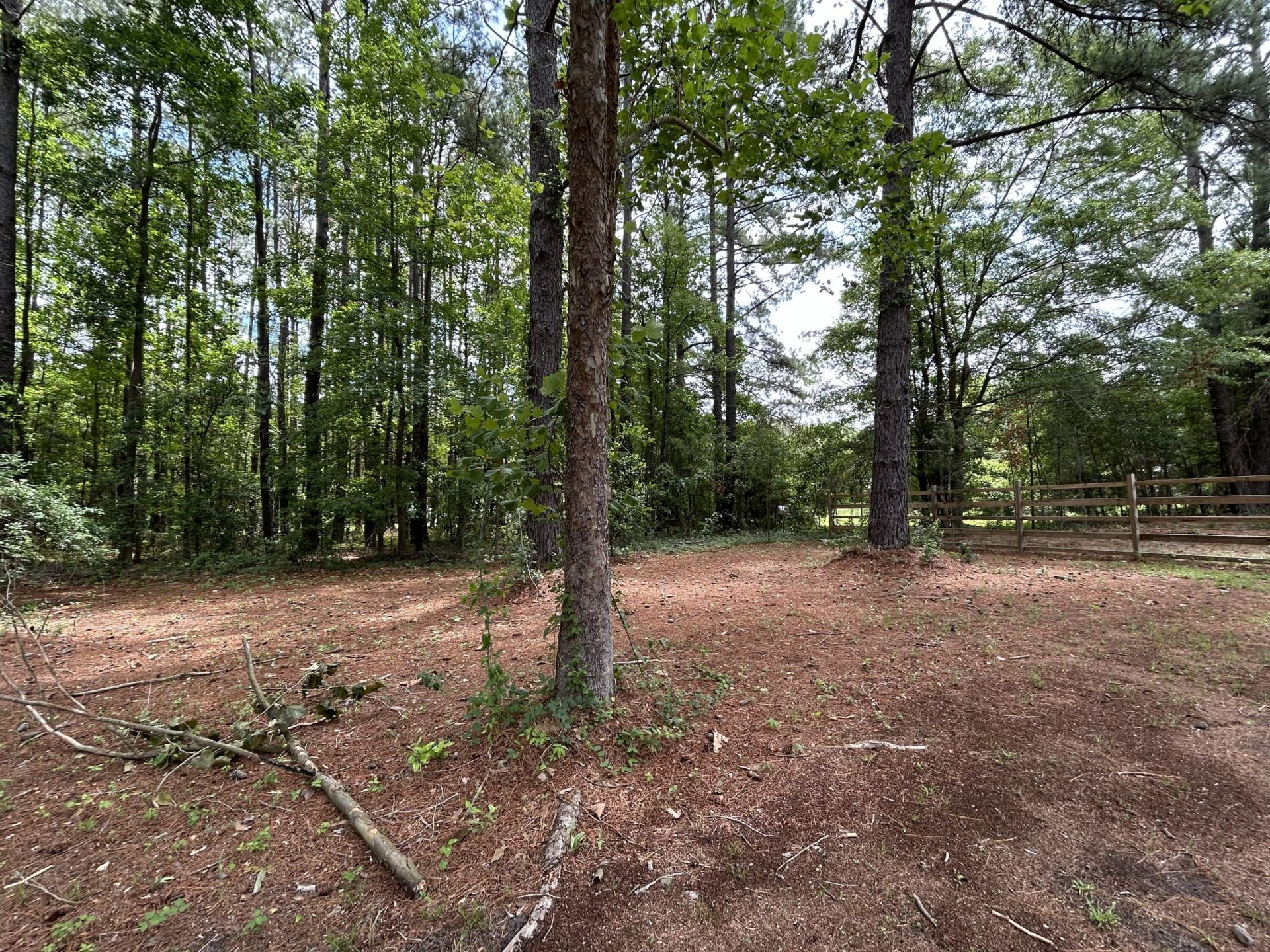 1033 Dawson Street Photo 48