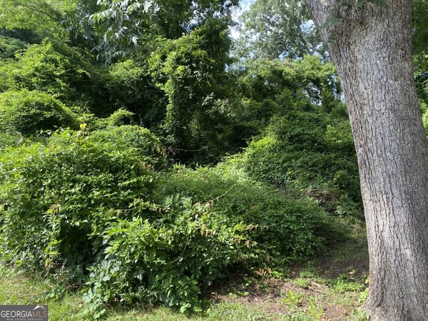 0 Dogwood North Avenue, Social Circle, GA 30025